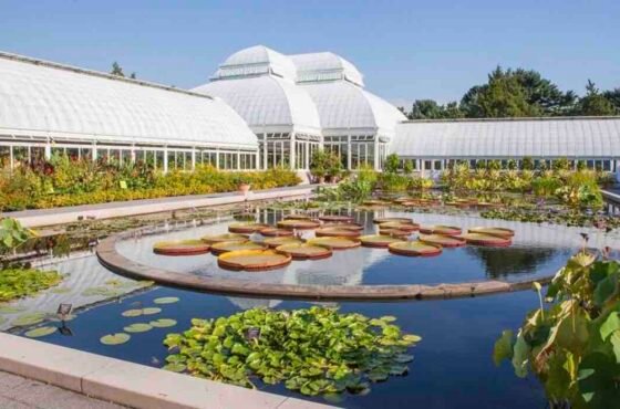 Private Day Tour to Aswan Botanical Garden & Botanical Museum