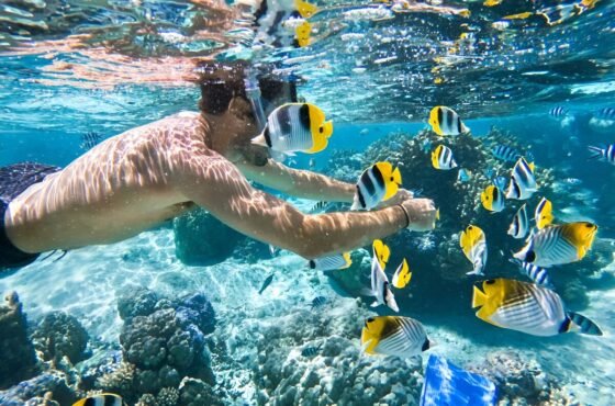 Snorkeling at Mahmya Island – Crystal Clear Waters, Coral Reefs