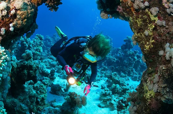 Dolphin House Marsa Alam Snorkeling